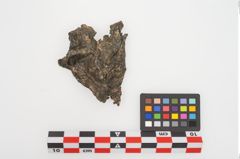 Foto von Bronzeobjekt (NHMW-PRAE-024042)